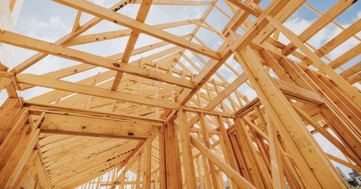 Timber roof trusses and wall studs of a house under construction, seen from inside against a clear sky