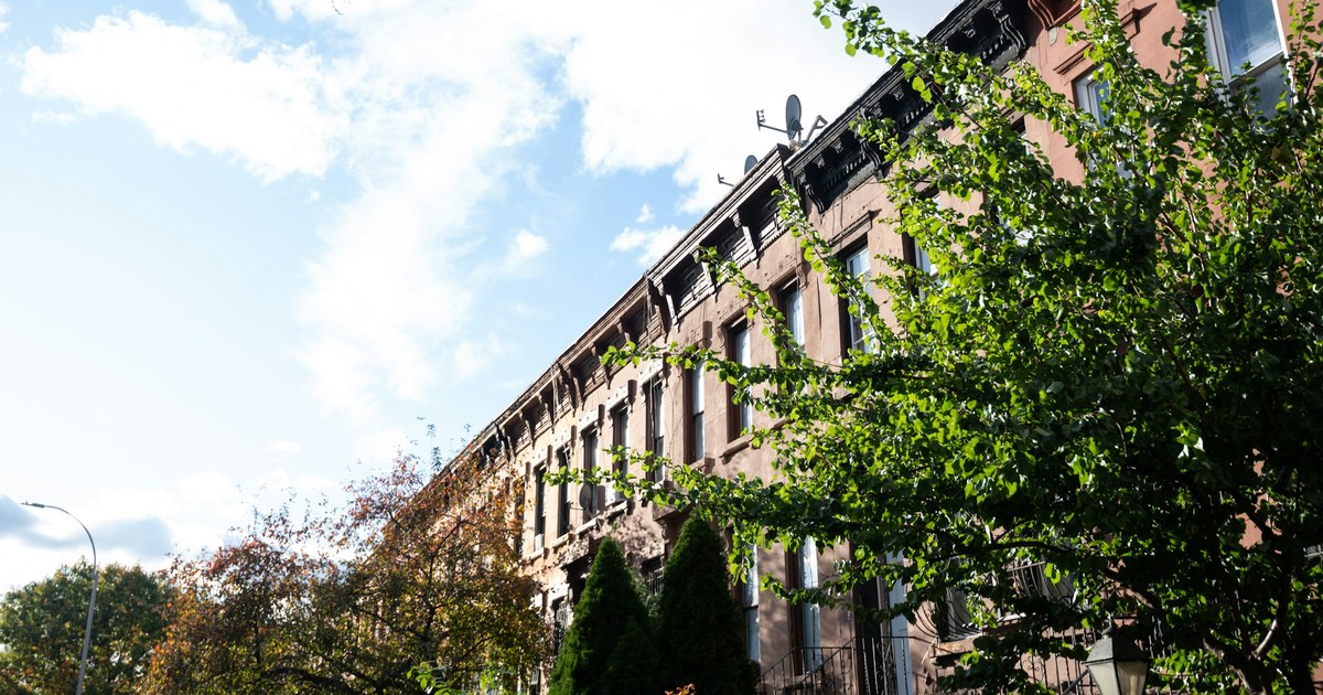 A row of Brooklyn brownstones behind street trees on a clear day