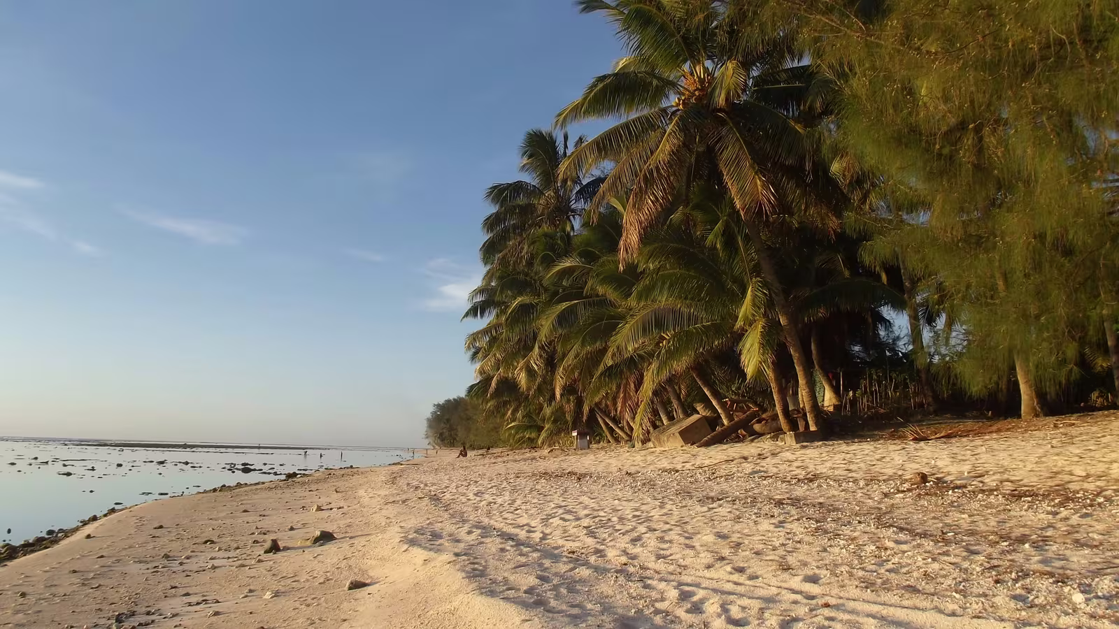 Palm-lined Rarotonga beach at golden hour, Cook Islands