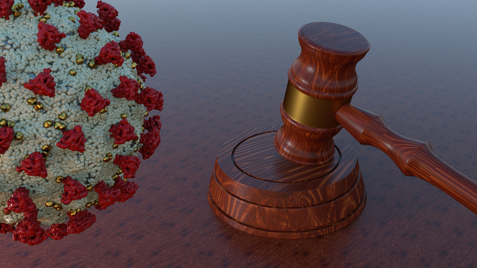 covid virus and a gavel