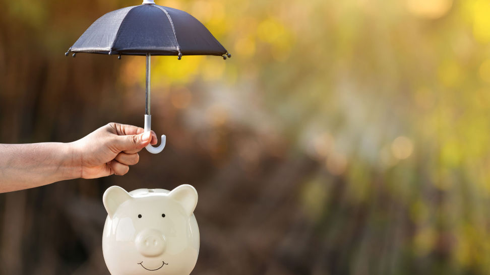 umbrella on top of a piggy bank illustrating asset protection