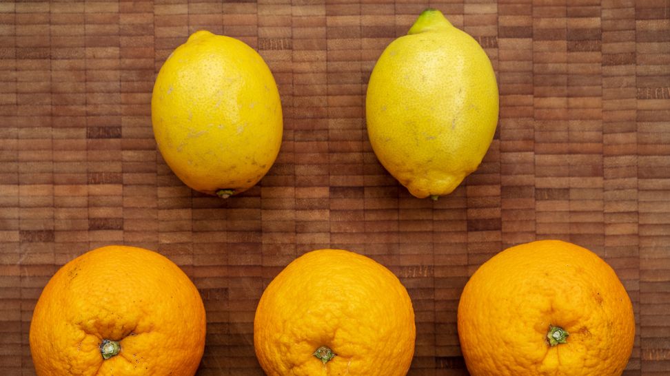 lemon and oranges
