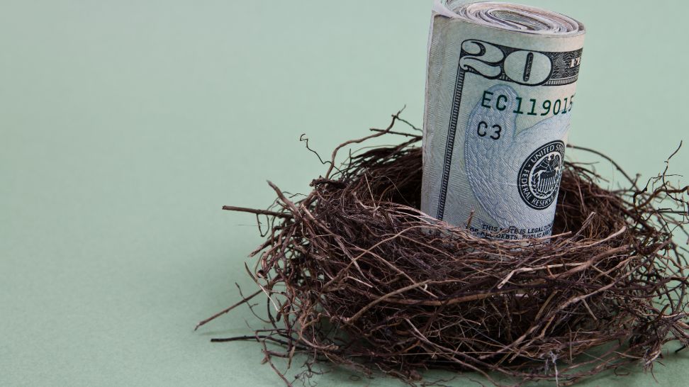 bird nest with rolled dollar banknotes