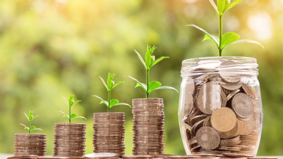 plants growing from pilled coins